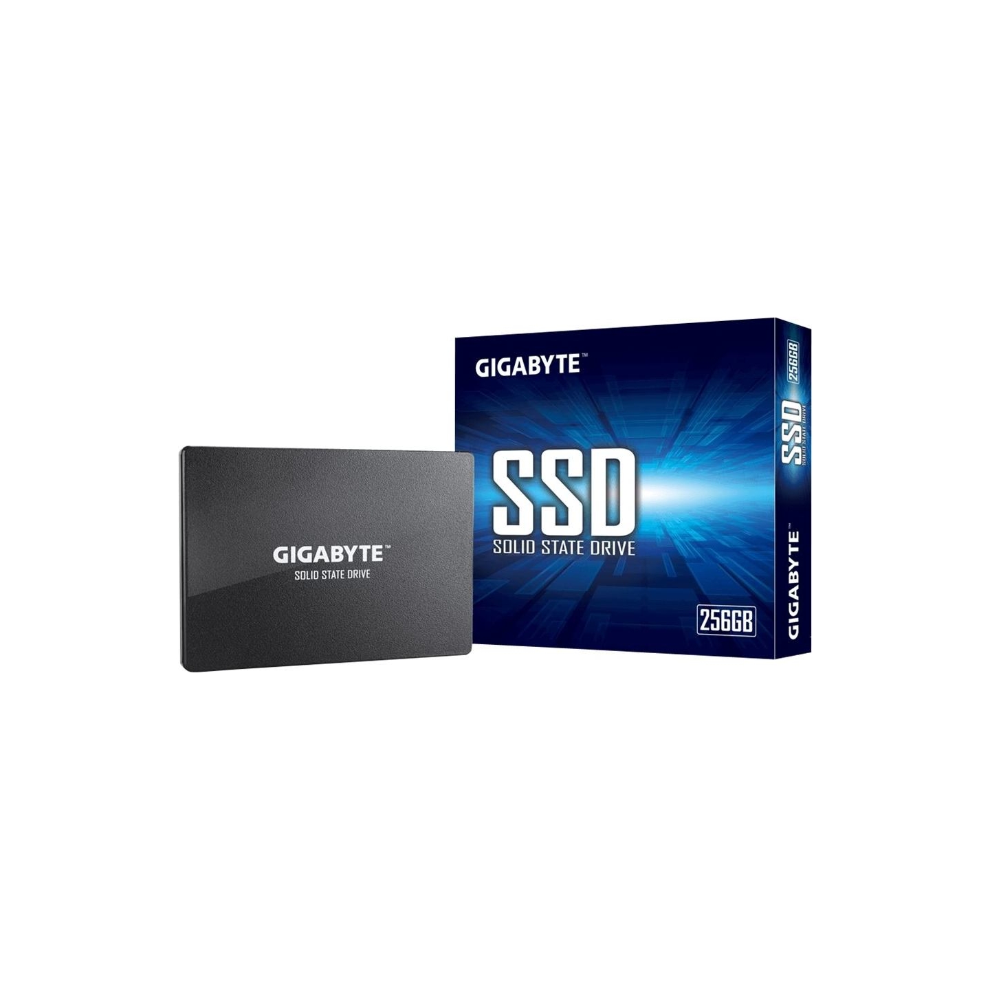 Gigabyte | GP-GSTFS31256GTND | 256 GB | Solid-state drive interface SATA | Read speed 520 MB/s | Write speed 500 MB/s