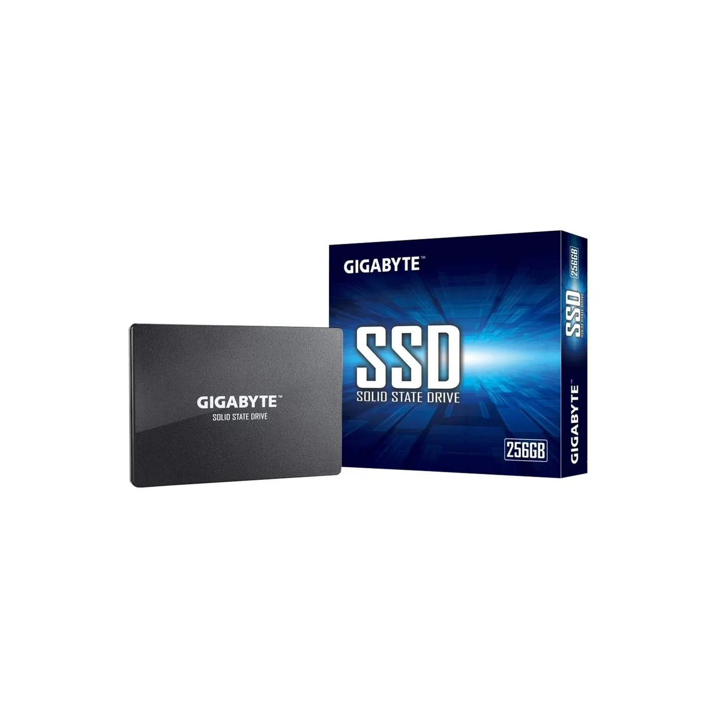 Gigabyte | GP-GSTFS31256GTND | 256 GB | Solid-state drive interface SATA | Read speed 520 MB/s | Write speed 500 MB/s