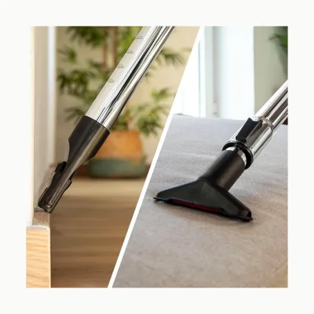 Cecotec Vacuum cleaner | The Conga Rockstar Cyclonic Plus | Bagless | Dust capacity 2 L | Power 800 W | Black