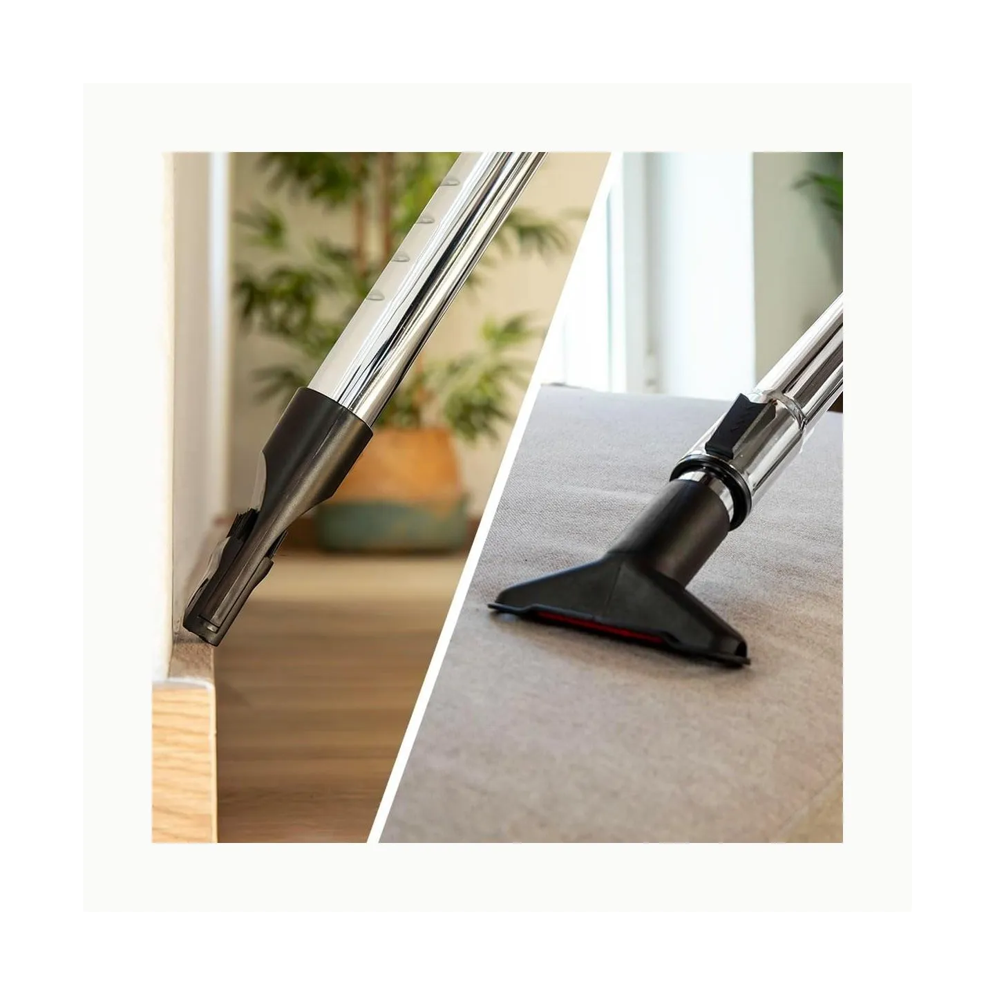 Cecotec Vacuum cleaner | The Conga Rockstar Cyclonic Plus | Bagless | Dust capacity 2 L | Power 800 W | Black