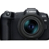 Canon | EOS R8 Body + RF 24-50mm F4.5-6.3 IS STM (AIP) | Megapixel 24.2 MP | Image stabilizer | ISO sensitivity (max) 102400 | D