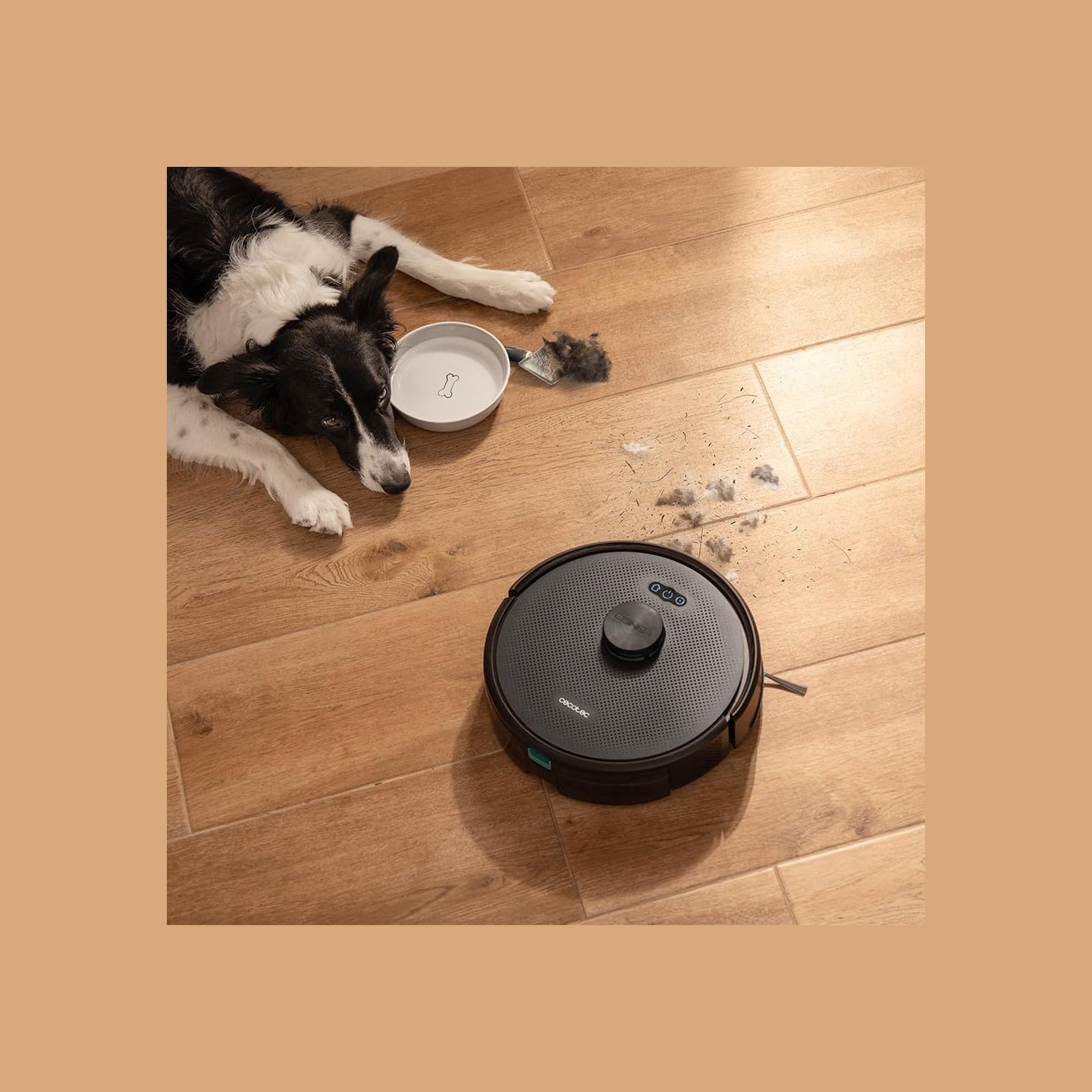 Cecotec Robot Vacuum Cleaner | Conga M70 | Wet&Dry | Operating time (max) 250 min | 4500 mAh | Dust capacity 400 L | 20000 Pa | 