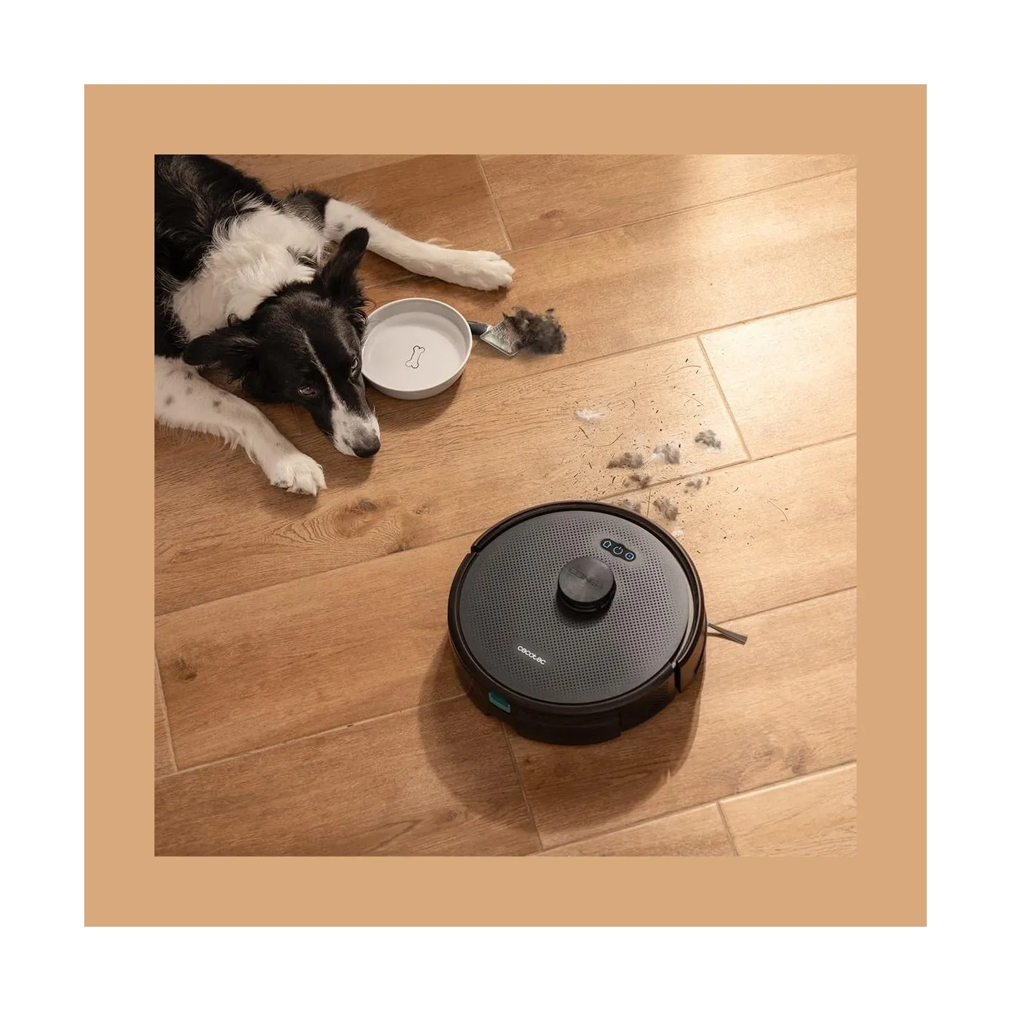 Cecotec Robot Vacuum Cleaner | Conga M70 | Wet&Dry | Operating time (max) 250 min | 4500 mAh | Dust capacity 400 L | 20000 Pa | 
