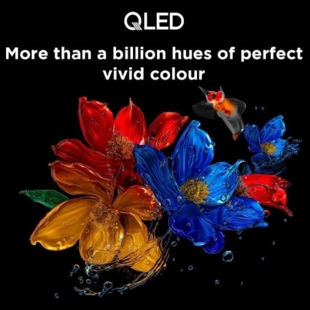 TCL 4K QLED TV | 65T8C | 65 | Smart TV | Google TV