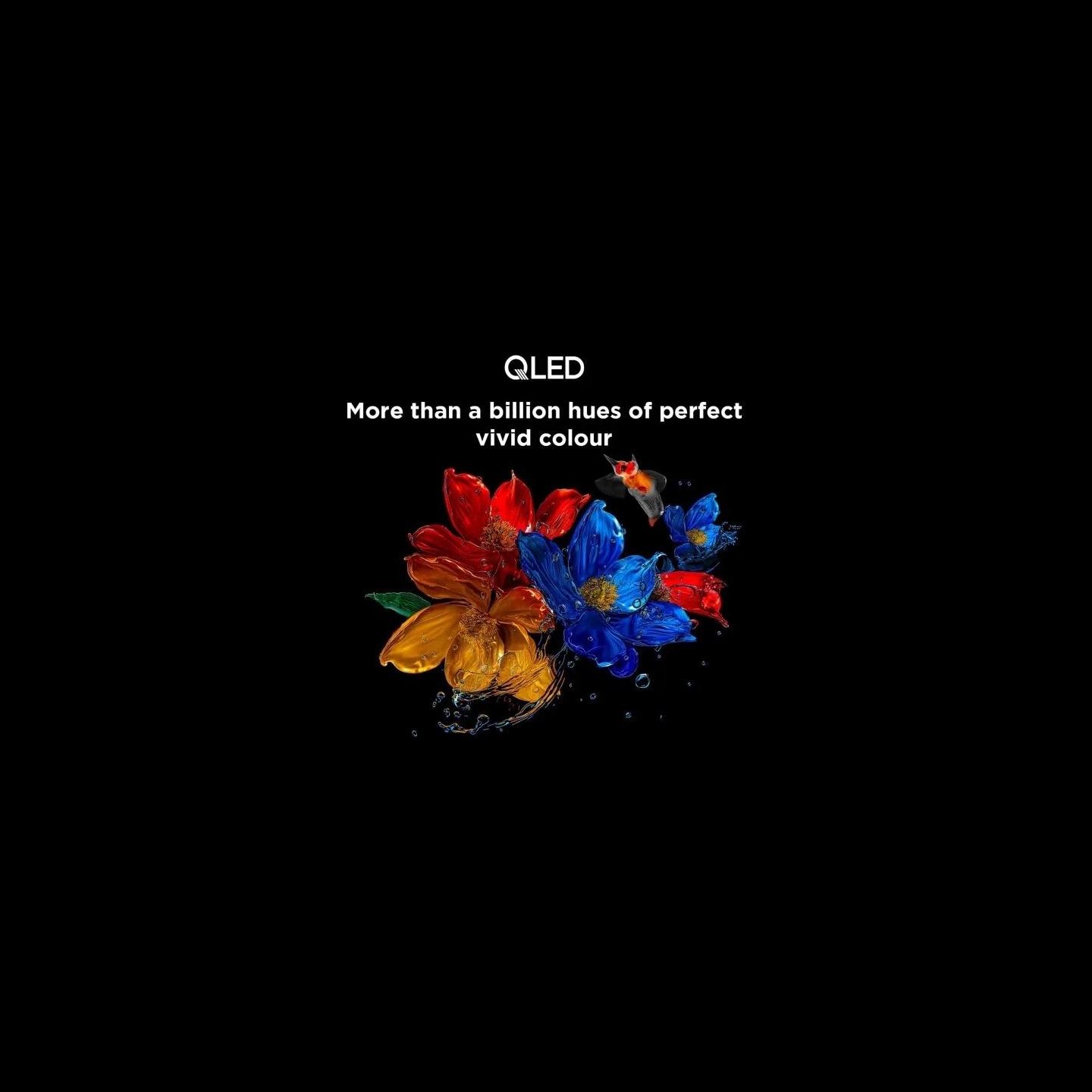TCL 4K QLED TV | 65T8C | 65 | Smart TV | Google TV