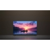Philips TV QLED 40 inch 40PFS6050/12