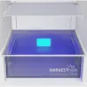 Beko Refrigerator | B5RCNA405HXBR1 | Energy efficiency class D | Free standing | Combi | Height 203.5 cm | No Frost system | Fri
