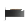 PNY NVIDIA RTX PRO 2000 Blackwell OEM Version, PCI-Express x16 Gen 5.0, Dual Slot, 16 GB GDDR7 ECC 128-bit, 4x Mini DP 2.1b, HDC