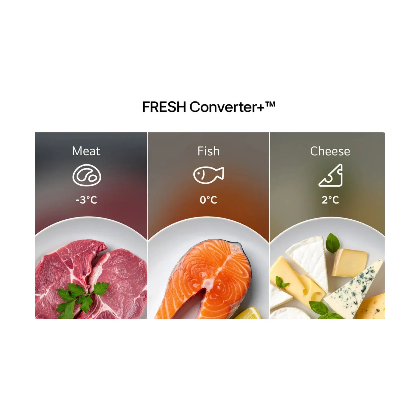 LG Refrigerator | GBBSJ1CCPY | Energy efficiency class C | Free standing | Combi | Height 186 cm | Fridge net capacity 220 L | F