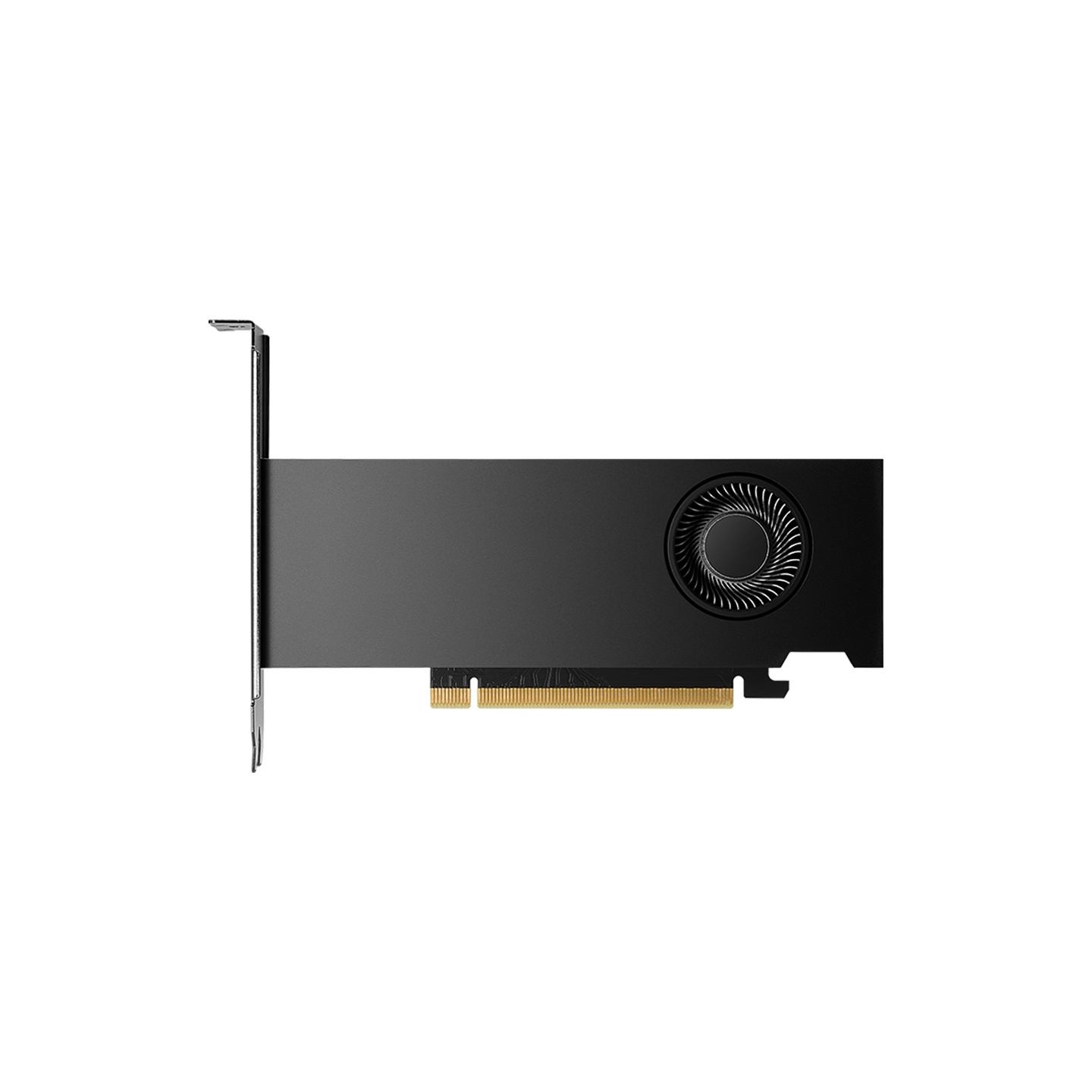 PNY NVIDIA 2000 Ada 16GB LowProfile OEM Version PCI-Express x16 Gen 4.0, Dual Slot, 16 GB GDDR6 ECC 128-bit,HDCP 2.2 and HDMI 2.