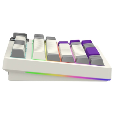 Lorgar KBP70TKLW, Wireless TKL Mechanical Gaming Keyboard Pro, Beige, EN layout