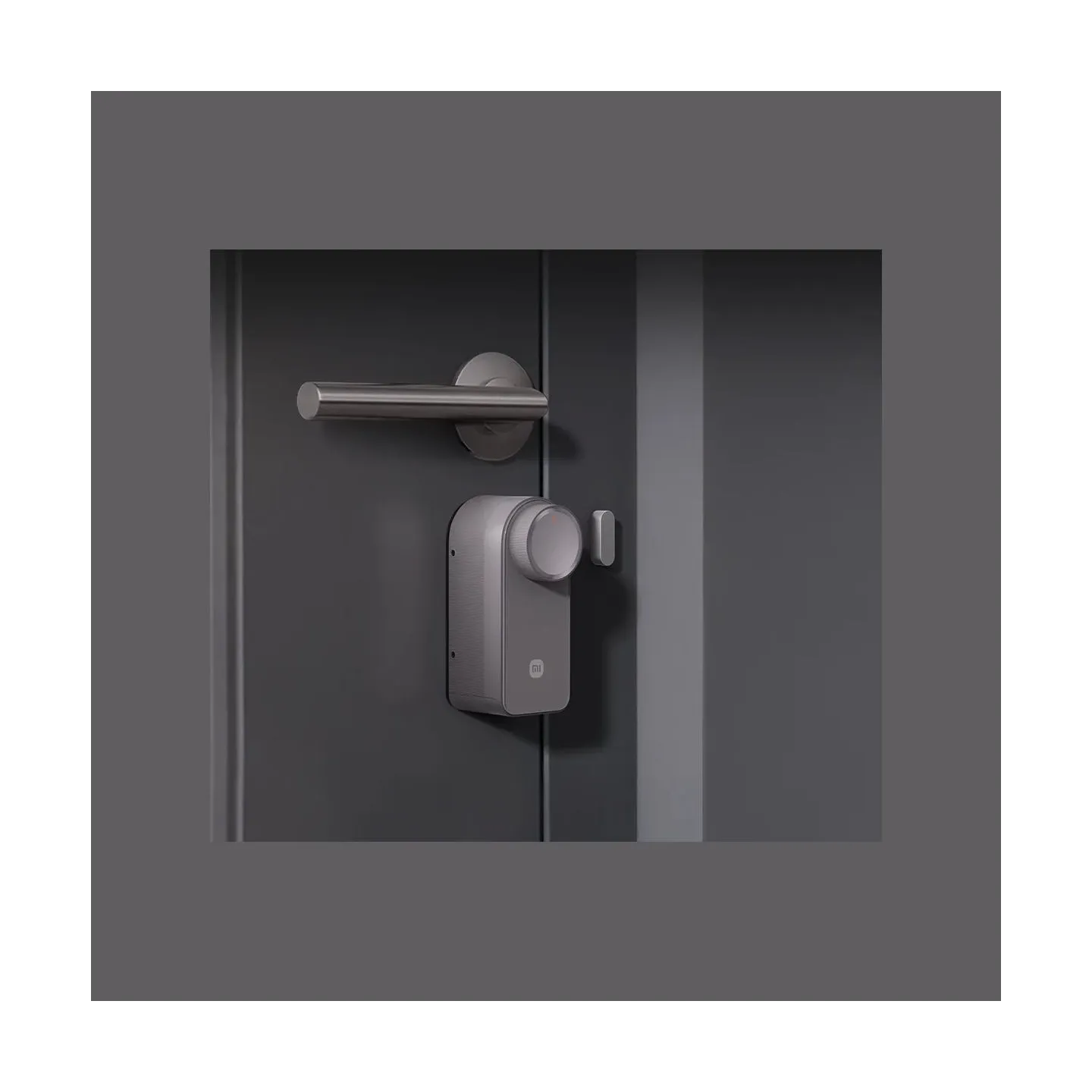 Xiaomi Self-Install Smart Lock EU