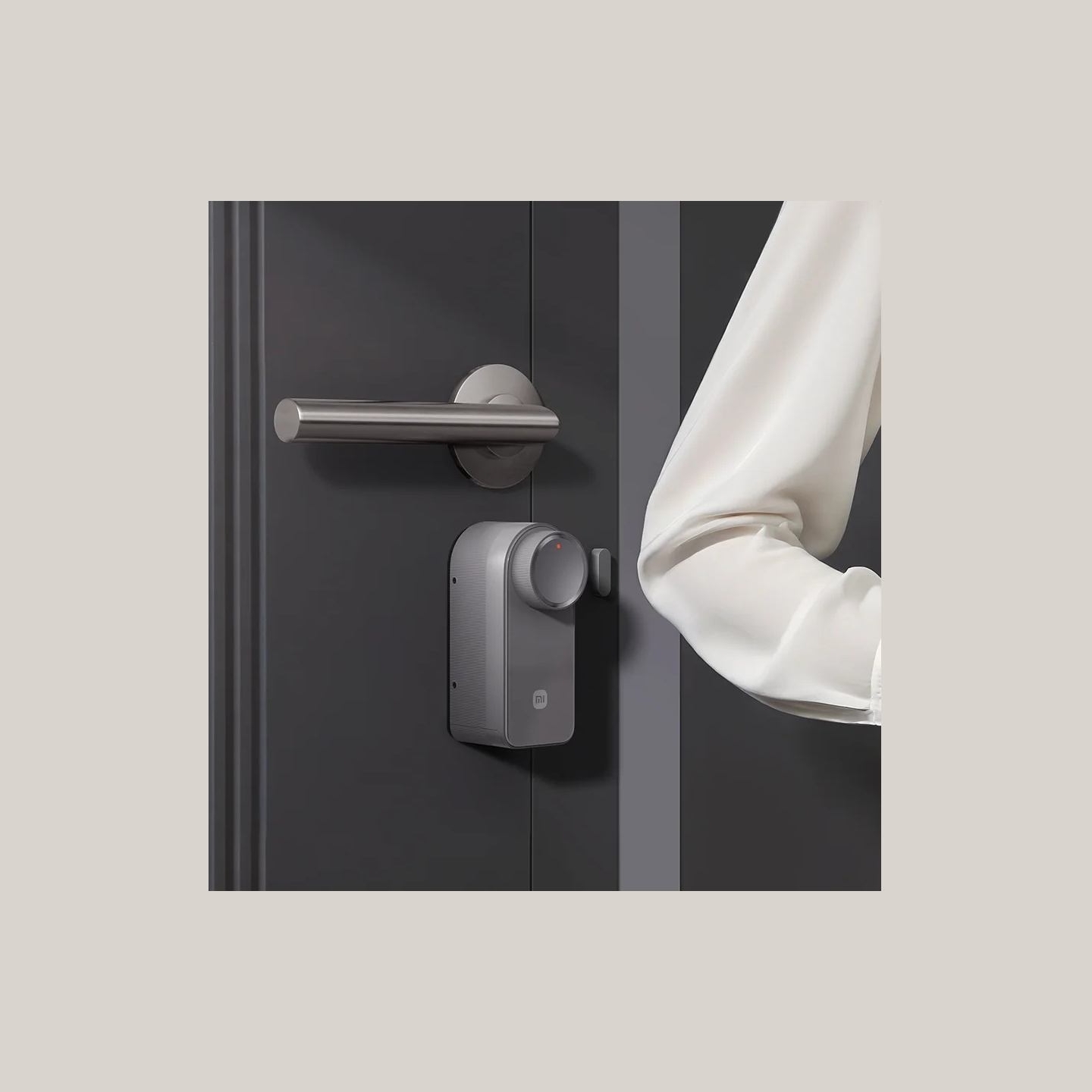 Xiaomi Self-Install Smart Lock EU