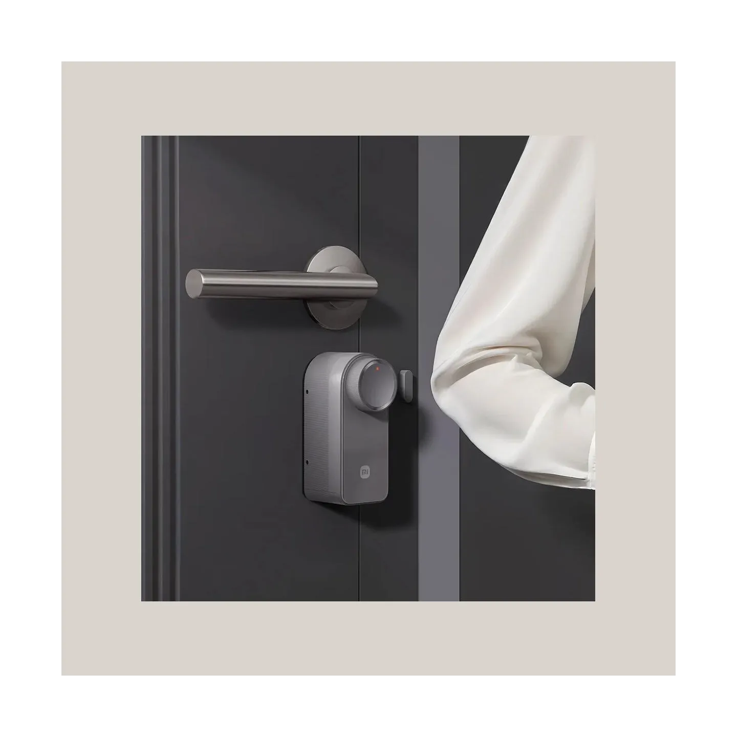 Xiaomi Self-Install Smart Lock EU