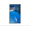 Samsung 75" OM75A UHD 4000 NITS 24/7 HIGH BRIGHTNESS SOC WIFI