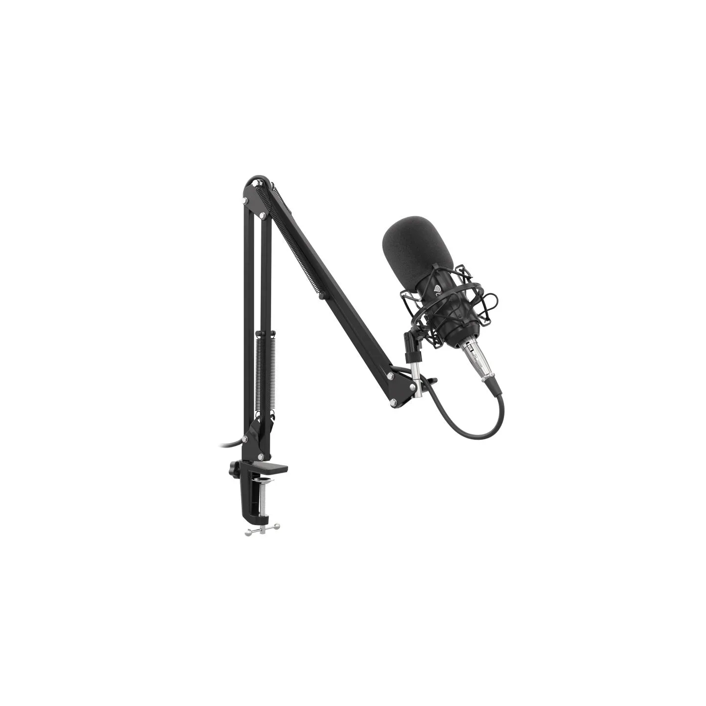 Genesis | Gaming Microphone | Radium 300 | Black | Wired