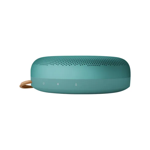 Bang & Olufsen Beosound A1 3rd Gen Eucalyptus Green