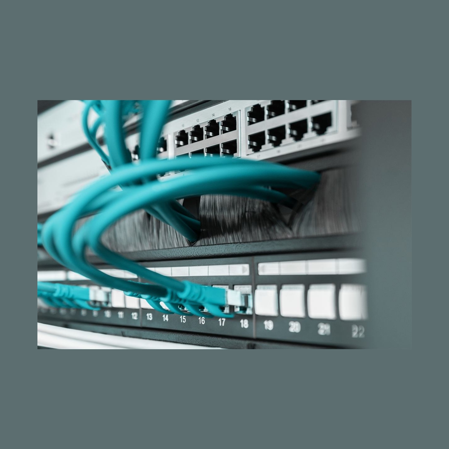 Digitus | 1U cable brush management panel open brush | DN-97661 | The Cable Brush Management Panel is getting fixed on the 483 m