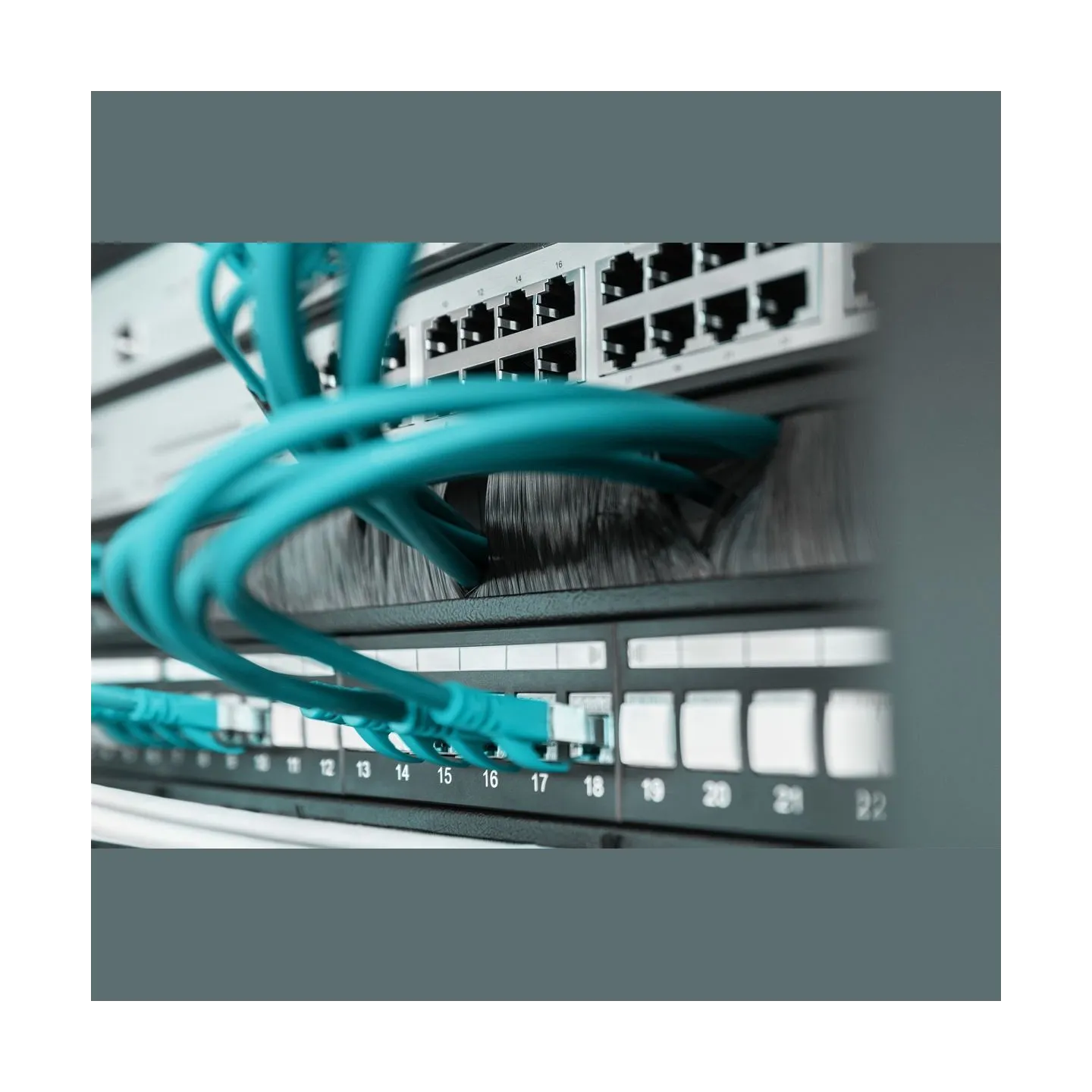 Digitus | 1U cable brush management panel open brush | DN-97661 | The Cable Brush Management Panel is getting fixed on the 483 m