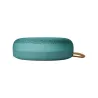 Bang & Olufsen Beosound A1 3rd Gen Eucalyptus Green