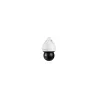 Dahua NET CAMERA 4MP PTZ IR DOME AI/SD5A425GB-HNR DAHUA