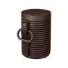 Bang & Olufsen Beosound Explore Chestnut