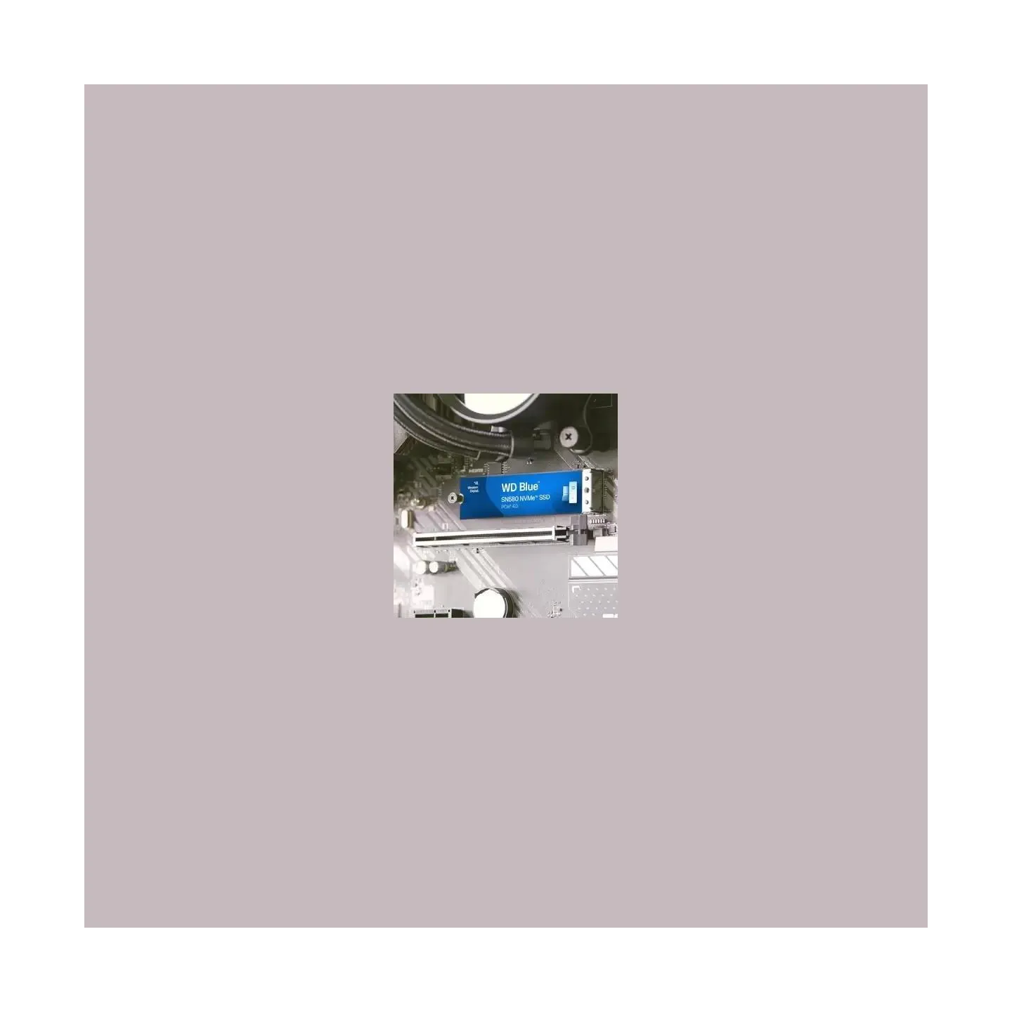 WD SSD|WESTERN DIGITAL|600xTBW rating|Read speed 4150 MB/s|Write speed 4150 MB/s|NVMe Yes|PCI Express 4.0|M.2|1000 GB|Blue SN580