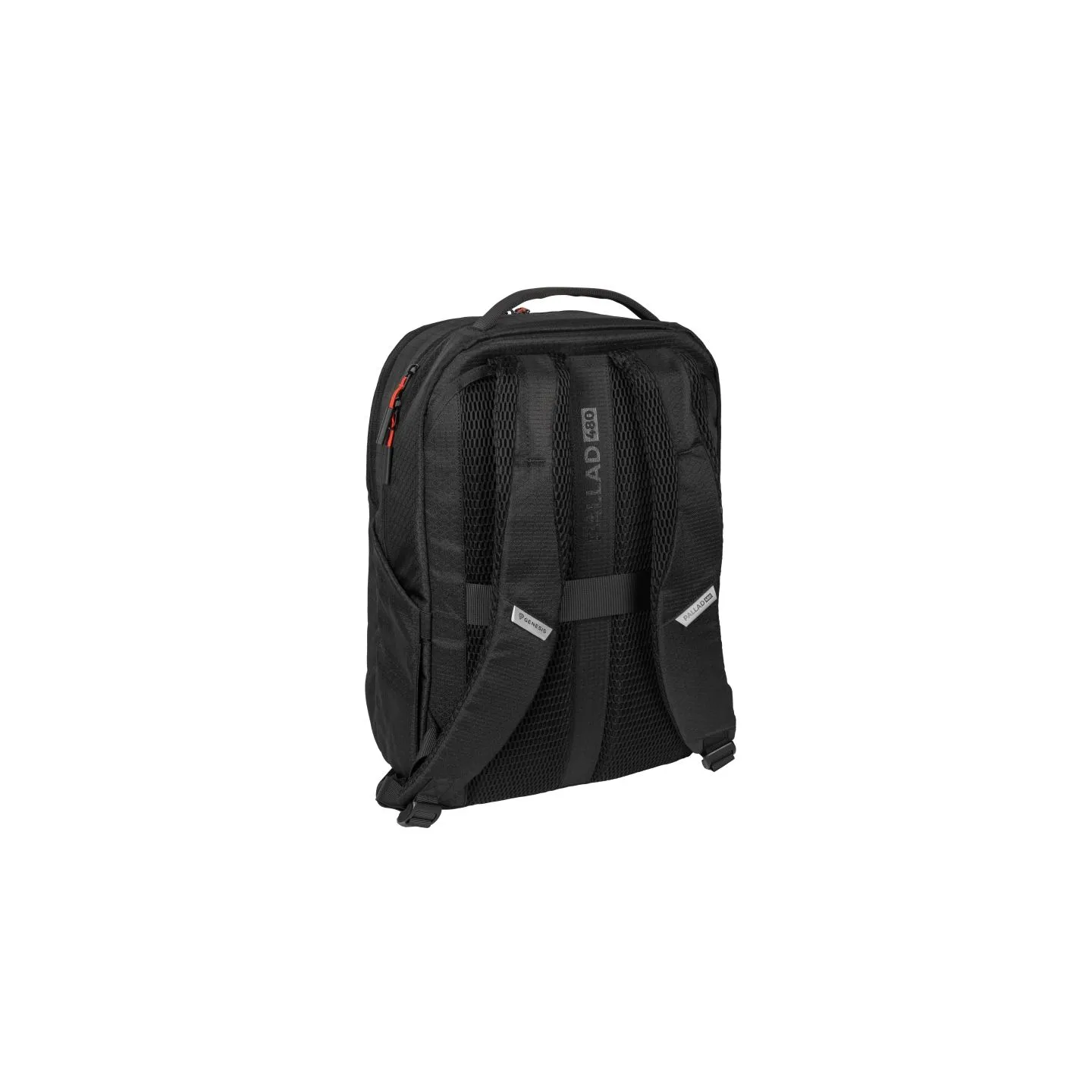Genesis Pallad 480 | Fits up to size 16 " | Backpack | Shoulder strap | Black