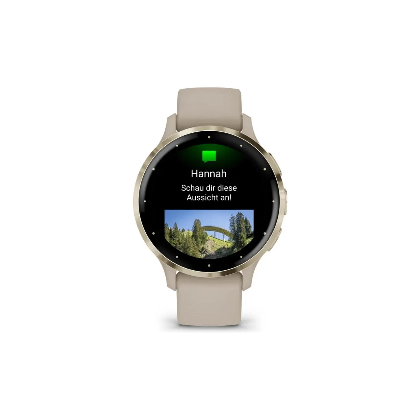 Garmin SMARTWATCH VENU 3S/GRAY/GOLD 010-02785-02 GARMIN