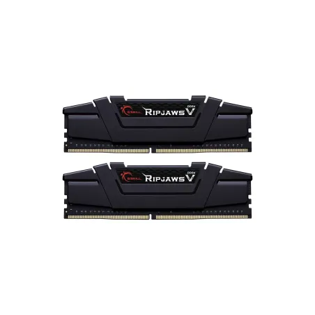 G.skill | Ripjaws V | 32 GB | DDR4 | 4000 MHz | PC/server | Registered No | ECC No