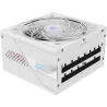 Gigabyte GP-AE1000PM PG5 ICE