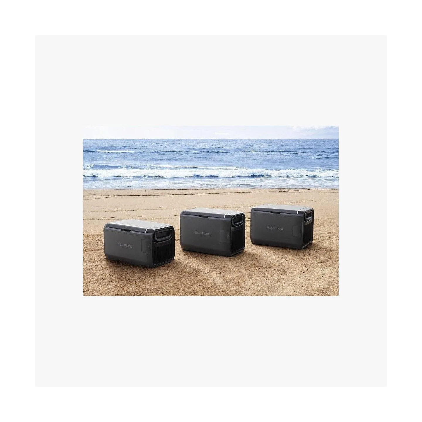 Ecoflow LOT13195