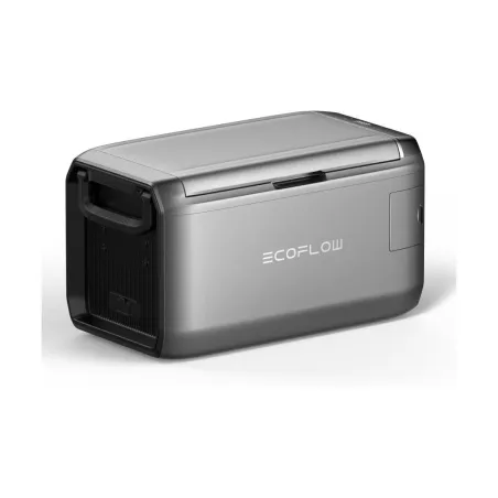 Ecoflow LOT13195