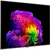 LG TV OLED OLED55G61LW 55inch