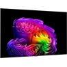 LG TV OLED OLED77G61LW 77inch