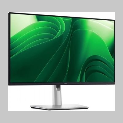 Dell 24 PRO P2425 QHD 100HZ IPS BLACK 16:9 HAS PIVOT USBC-15W