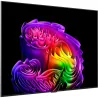 LG TV OLED OLED65G61LW 65inch