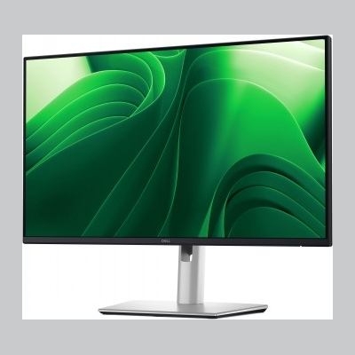 Dell 24 PRO P2425 QHD 100HZ IPS BLACK 16:9 HAS PIVOT USBC-15W
