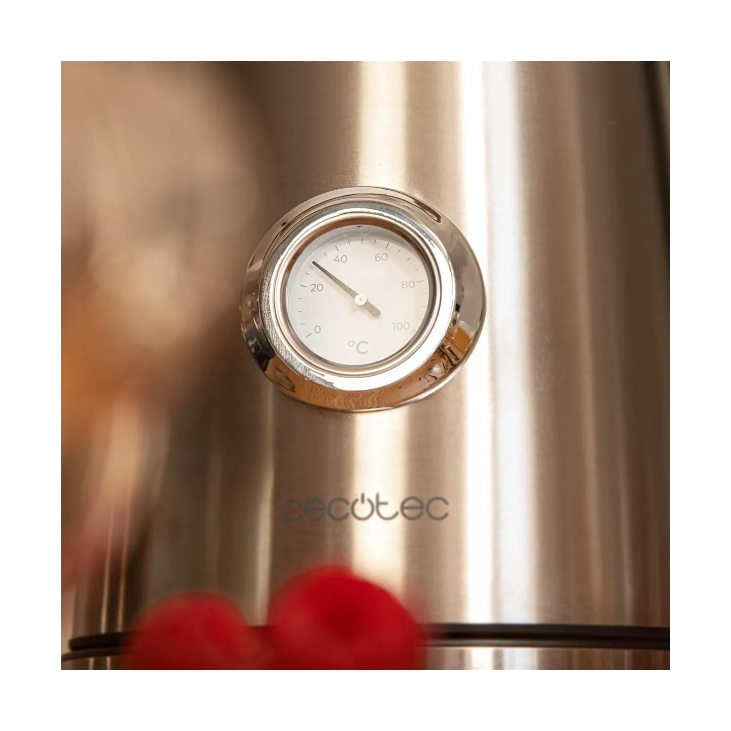 Cecotec Kettle | Thermosense 620 Vintage | Electric | 2200 W | 1.7 L | Stainless steel | 360° rotational base | Stainless steel