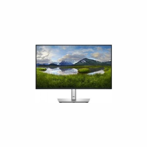 Dell 24 PRO P2425H FHD 100HZ IPS 16:9 HAS PIVOT USBC-15W