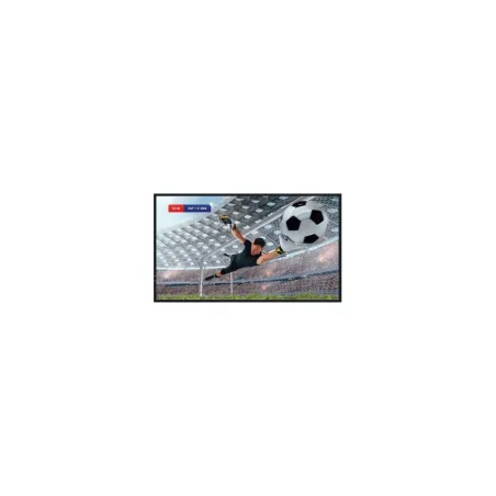 Hisense Monitor 86DM66D 86 inches 4K UHD IPS DS Display 24/7