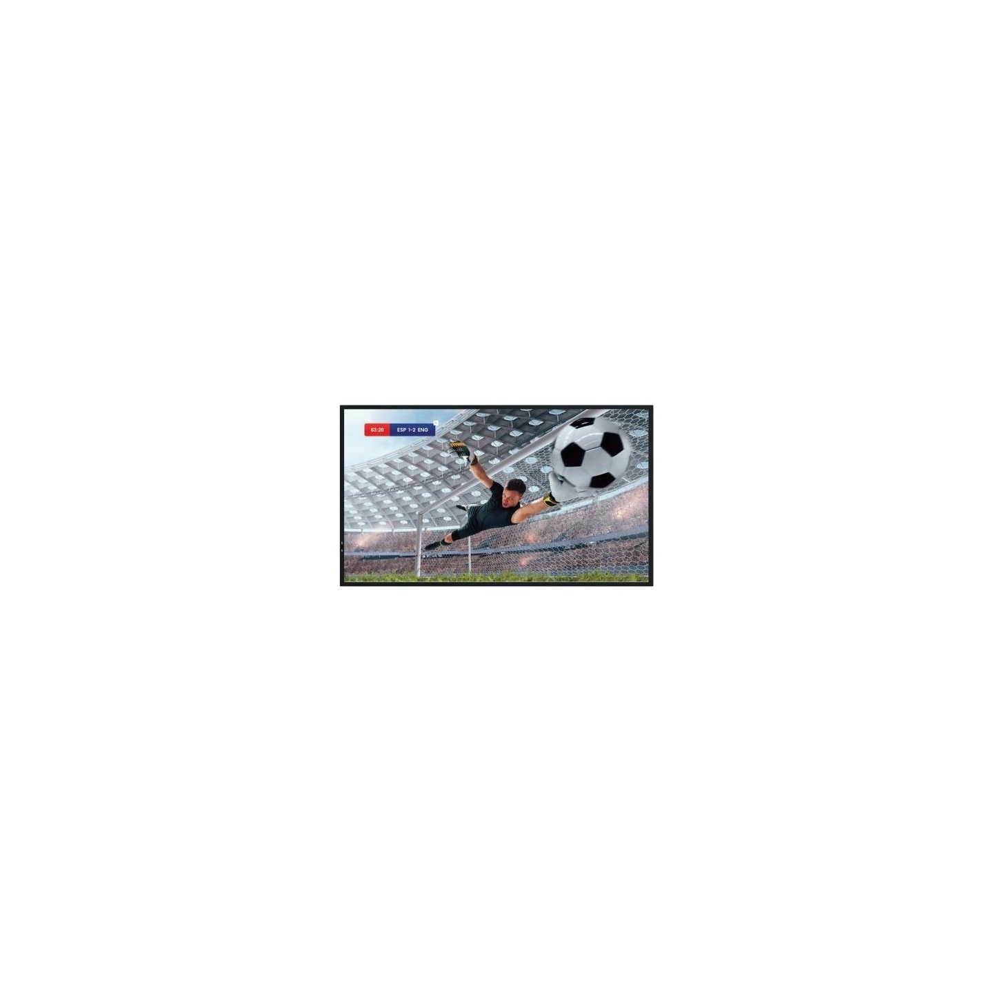 Hisense Monitor 86DM66D 86 inches 4K UHD IPS DS Display 24/7