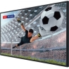 Hisense Monitor 86DM66D 86 inches 4K UHD IPS DS Display 24/7