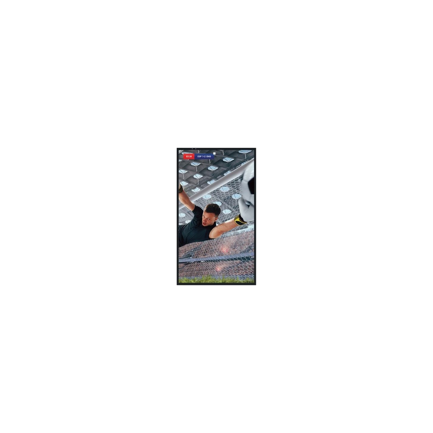 Hisense Monitor 86DM66D 86 inches 4K UHD IPS DS Display 24/7