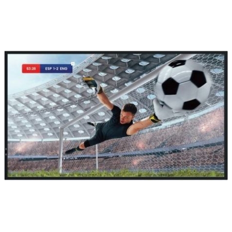Hisense Monitor 55DM66D 55 inches 4K UHD IPS DS Display 24/7