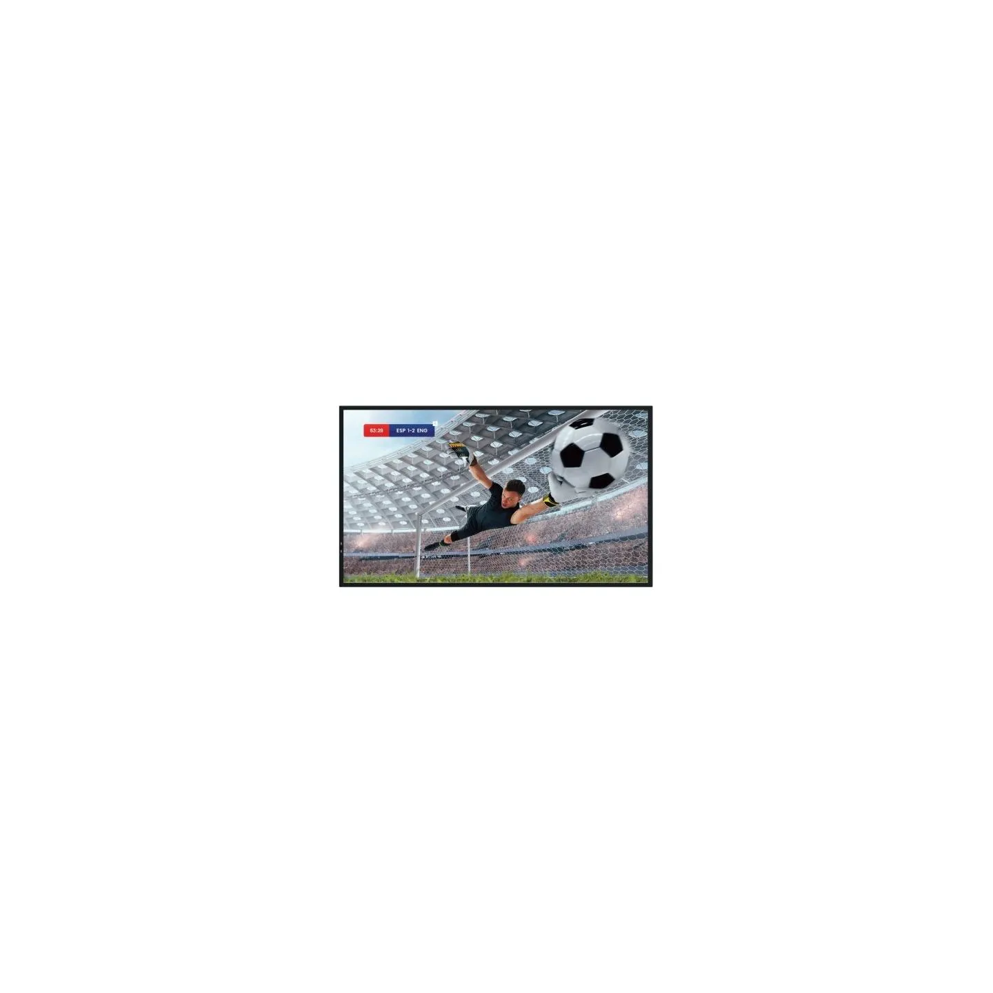 Hisense Monitor 55DM66D 55 inches 4K UHD IPS DS Display 24/7