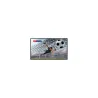 Hisense Monitor 55DM66D 55 inches 4K UHD IPS DS Display 24/7