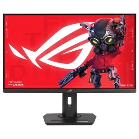 Asus Monitor 27 inches XG279CNS ROG DP HDMI USB-C 0.3MS
