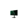 MSI Monitor 23.8 inches PRO MP245PG LED/FHD/Flat/100Hz/black
