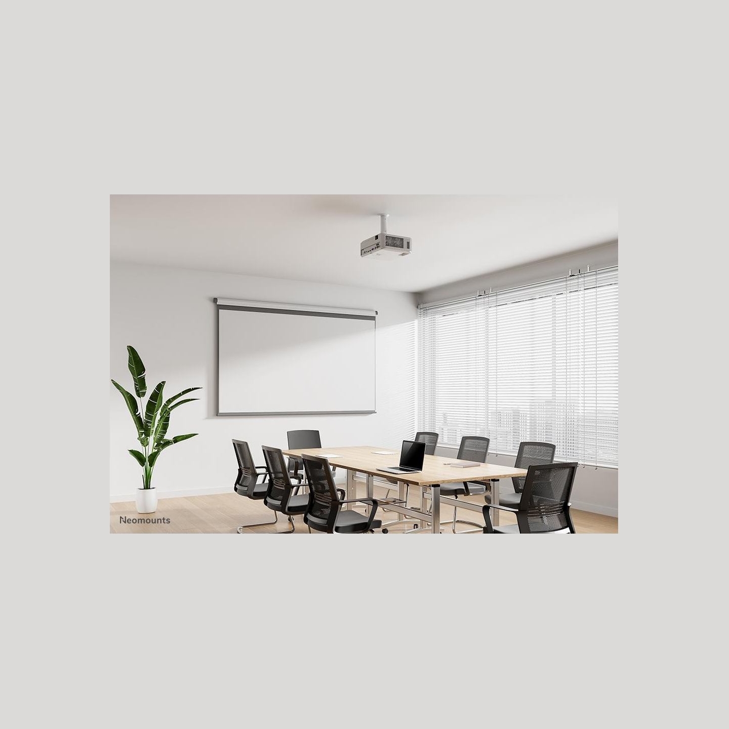 Neomounts PROJECTOR ACC CEILING MOUNT/BEAMER-C80WHITE NEOMOUNTS